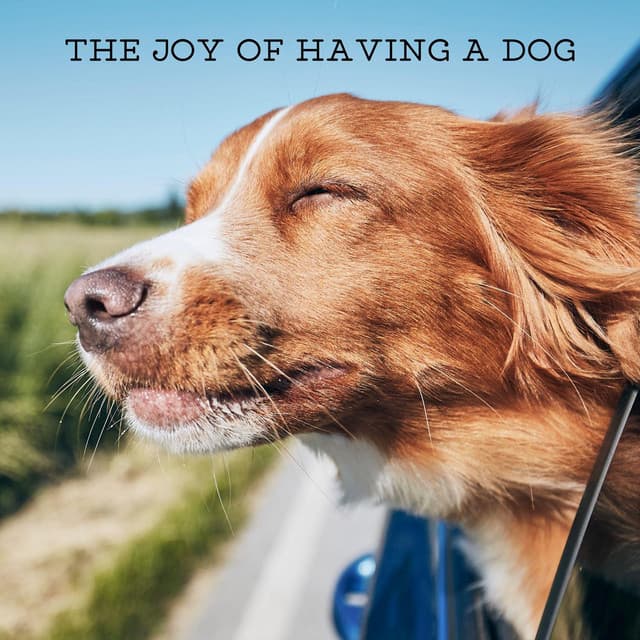 The Joy of Having a Dog - Dog Whisperer