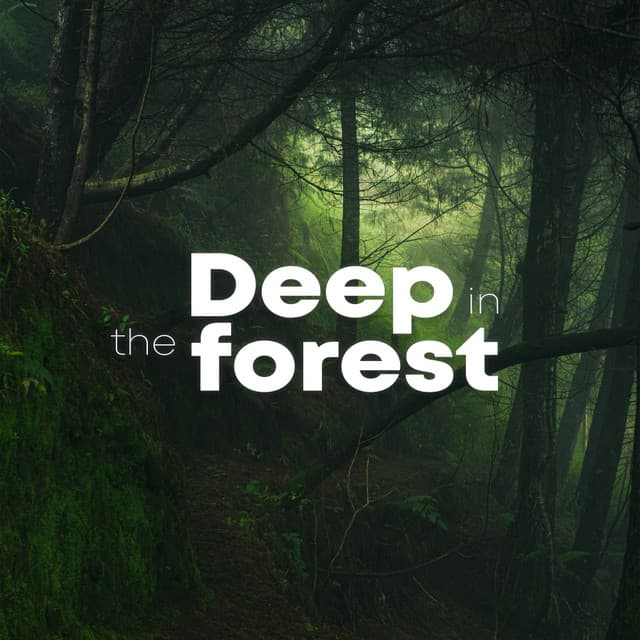 Deep In The Forest - Rainforest Sounds