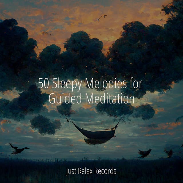 50 Sleepy Melodies for Guided Meditation - Soothing Sounds
