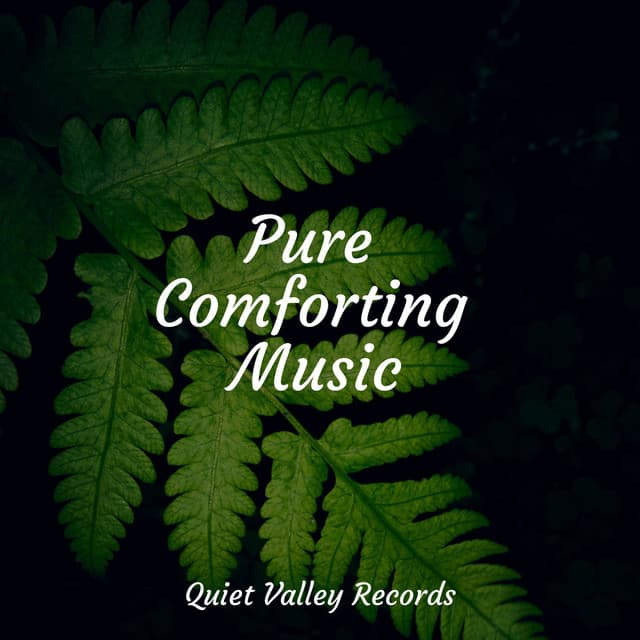 Pure Comforting Music - Tailormade Ocean Waves