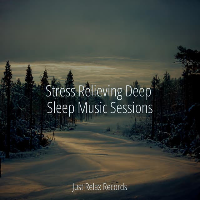 Stress Relieving Deep Sleep Music Sessions - Instrumental