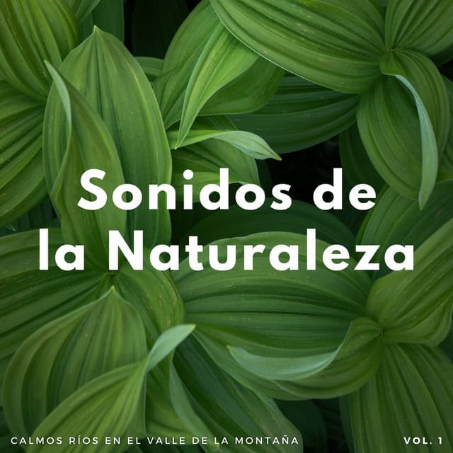Sonidos De La Naturaleza: Calmos Ríos En El Valle De La Montaña Vol. 1 - Biblioteca XLE de sonidos de la naturaleza