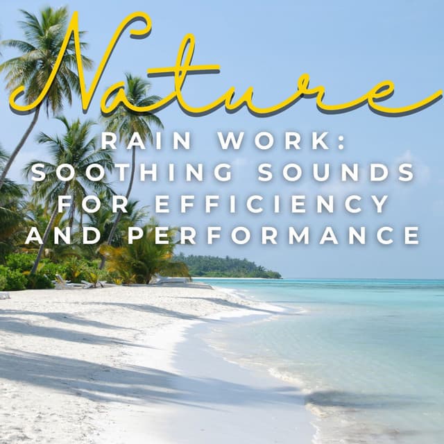 Rain Work: Soothing Sounds for Efficiency and Performance - Prince Of Rain