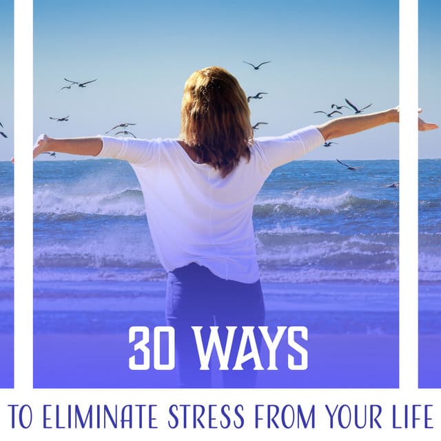30 Ways to Eliminate Stress from Your Life: Relaxing & Soothing Sounds for Deep Relaxation and Meditation, De Stress Therapy - Less Stress Music Academy