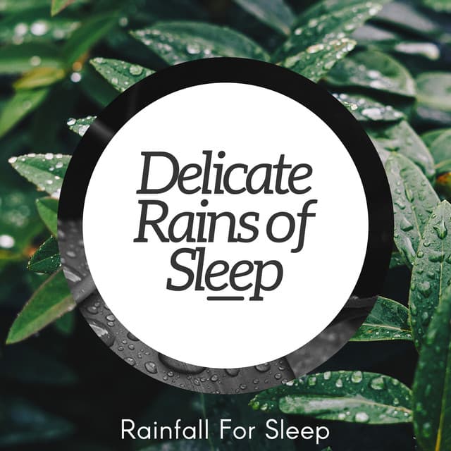 Delicate Rains of Sleep - Rainfall For Sleep
