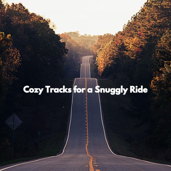 Cozy Tracks for a Snuggly Ride - Quiet Dinner Music