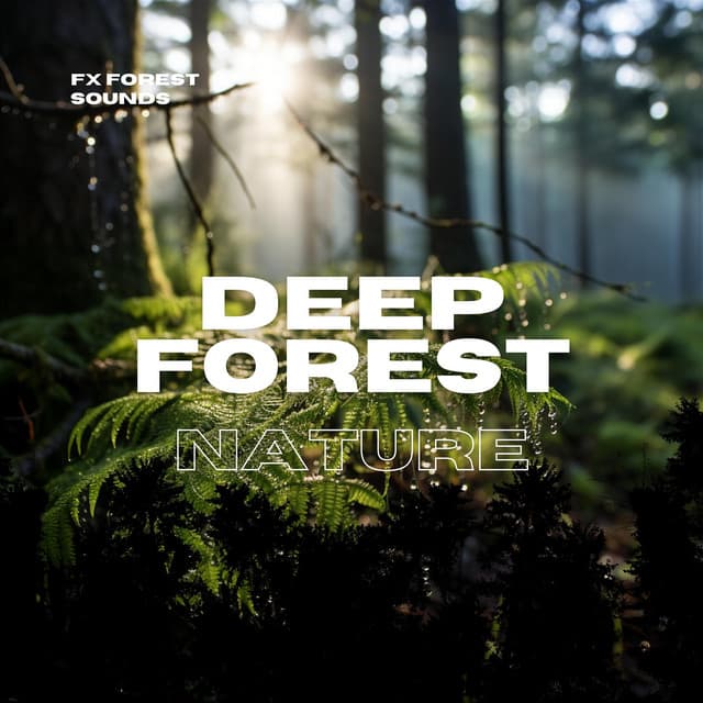 Deep Forest Nature - FX Forest Sounds