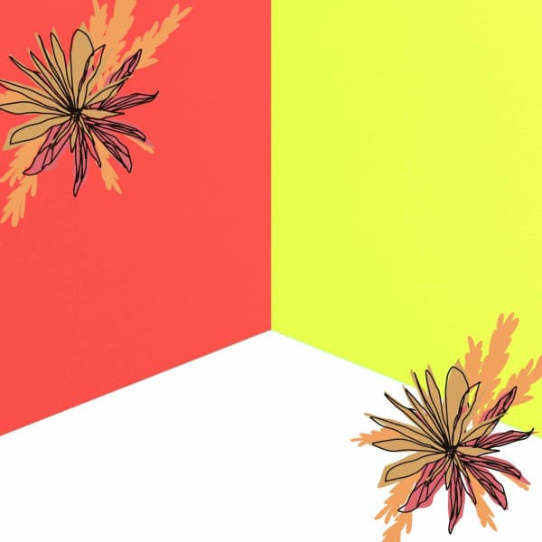 Music for Soft Imaginations - Sprightly Jazz-hop - Jamie Lofi