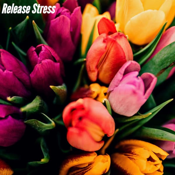 Release Stress - Paolo Igor Mendoza Bossa Nova