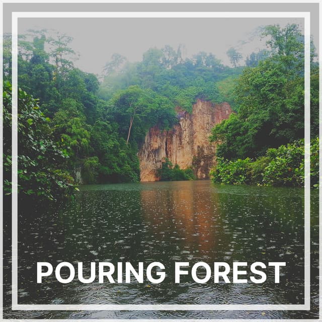 Pouring Forest - Relaxing Rain Sounds