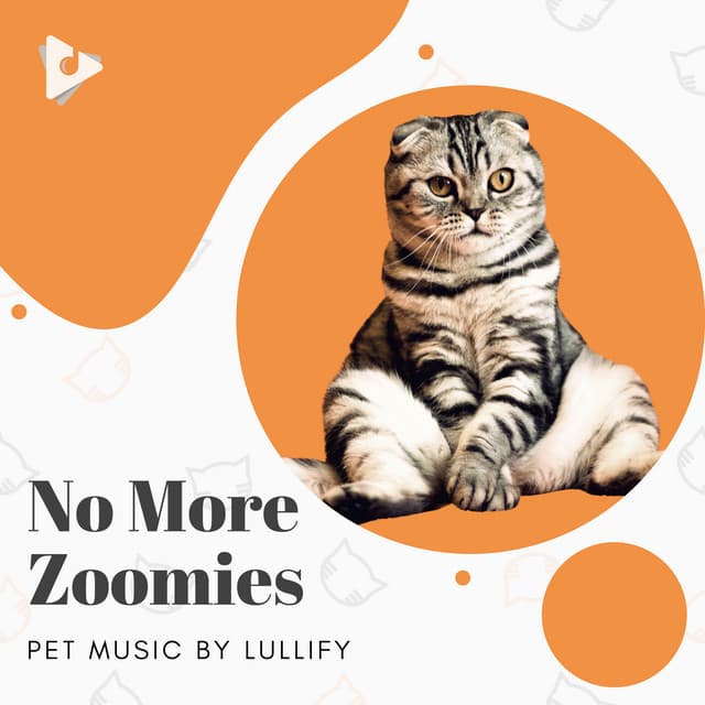 No More Zoomies - Pet Music by Lullify