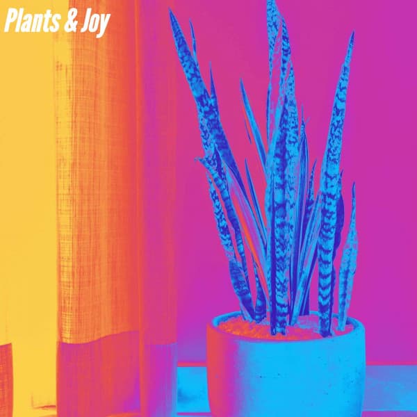 Plants & Joy - Sunday Evening Music