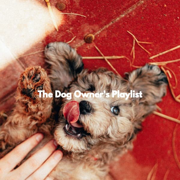 The Dog Owner's Playlist - Relax My Puppy