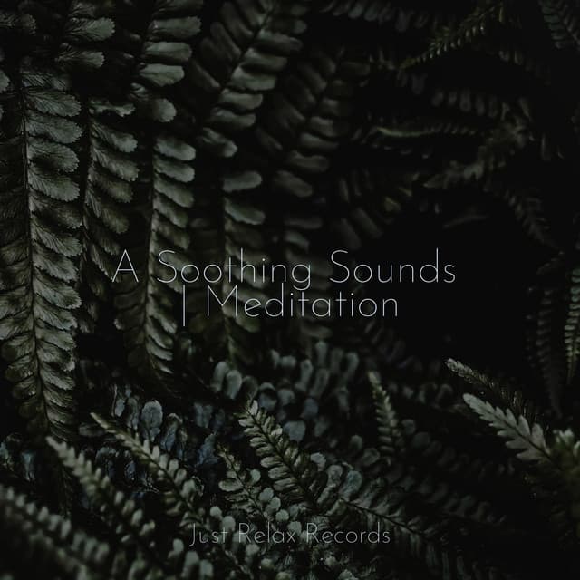A Soothing Sounds | Meditation - Exam Study Classical Music