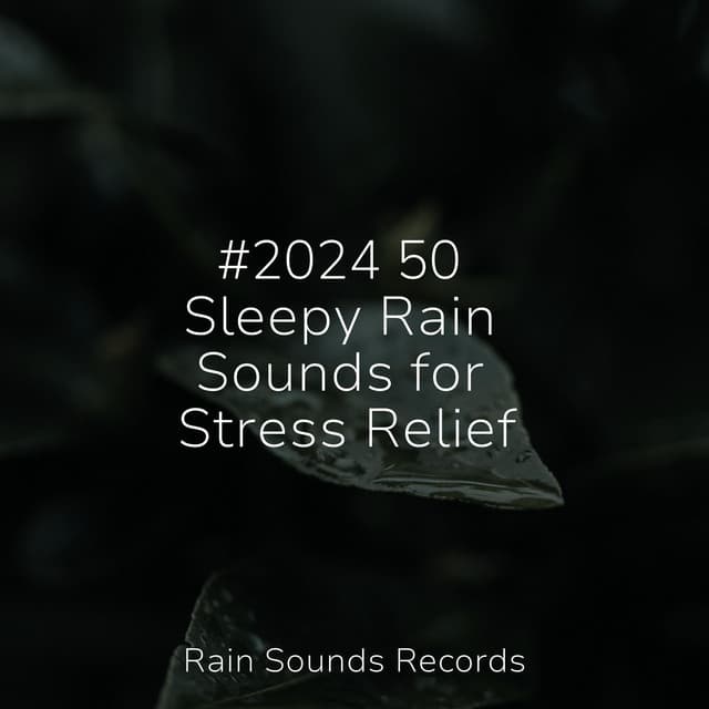 #2024 50 Sleepy Rain Sounds for Stress Relief - Sons da natureza HD