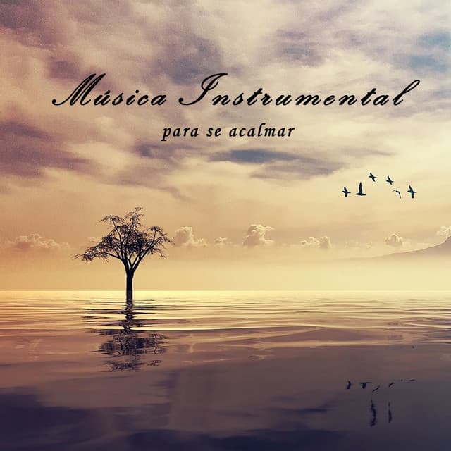 Música Instrumental para Se Acalmar - Meditação Música Ambiente