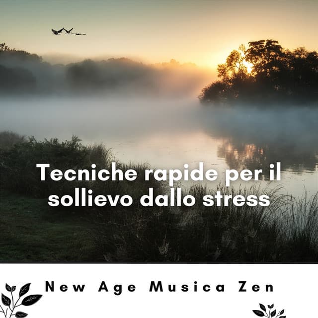Tecniche rapide per il sollievo dallo stress - New Age Musica Zen