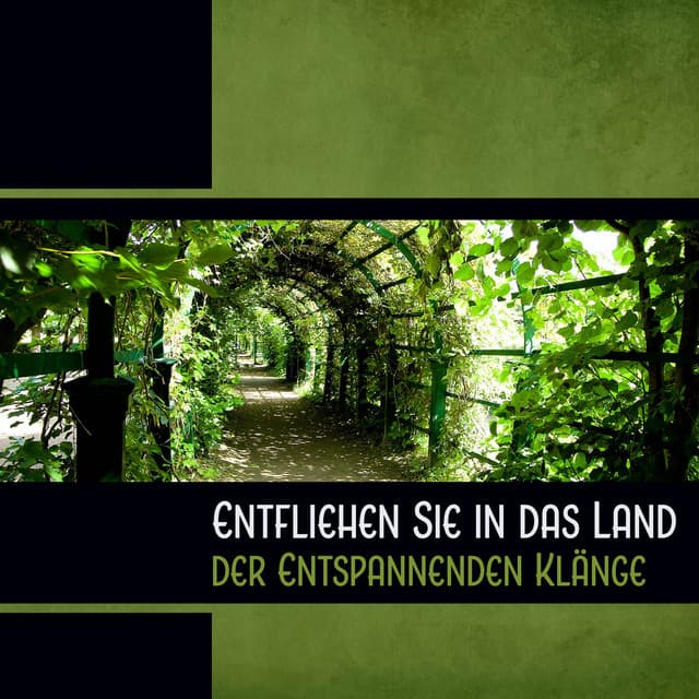 Entfliehen Sie in das Land der Entspannenden Klänge - Entspannungsmusik Welt