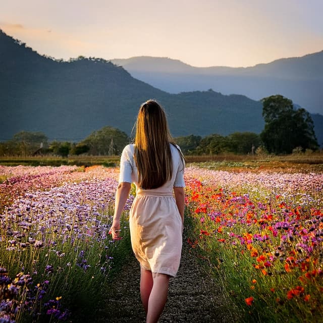 Armonía Natural: Música Ambiental Para Una Relajación Reconfortante - Música tranquila para la cena