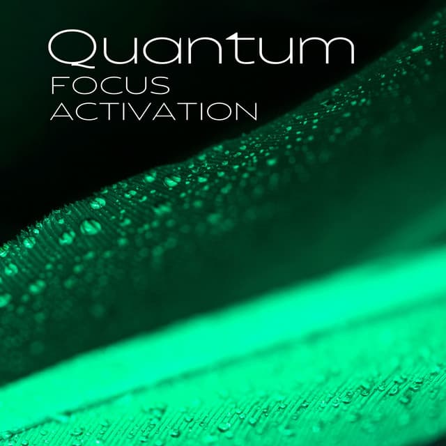 Quantum Focus Activation: Gamma Waves & Gentle Nature Sounds for Deep Concentration - Brainwave Frequency Zone