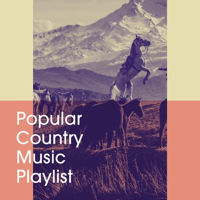 Popular Country Music Playlist - Country Rock Party