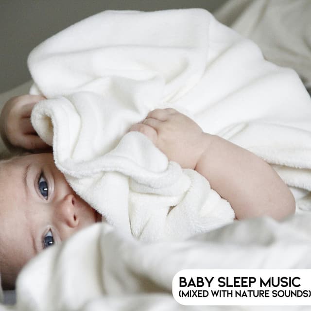 Baby Sleep Music - Lumi The Bear