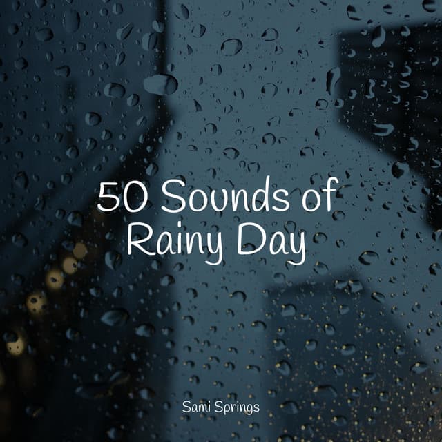 50 Sounds of Rainy Day - Natural Sounds