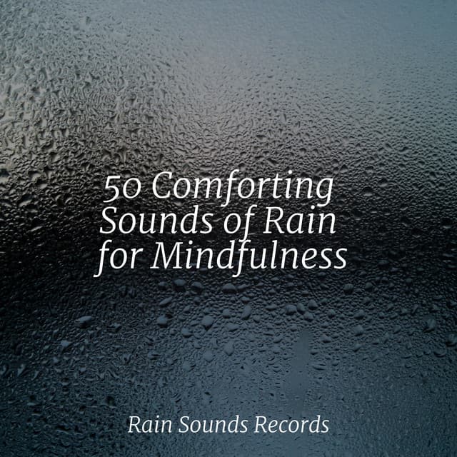 50 Comforting Sounds of Rain for Mindfulness - Relajación