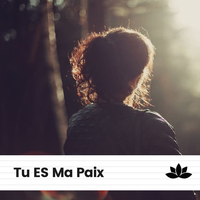 Tu ES Ma Paix - Ambiente