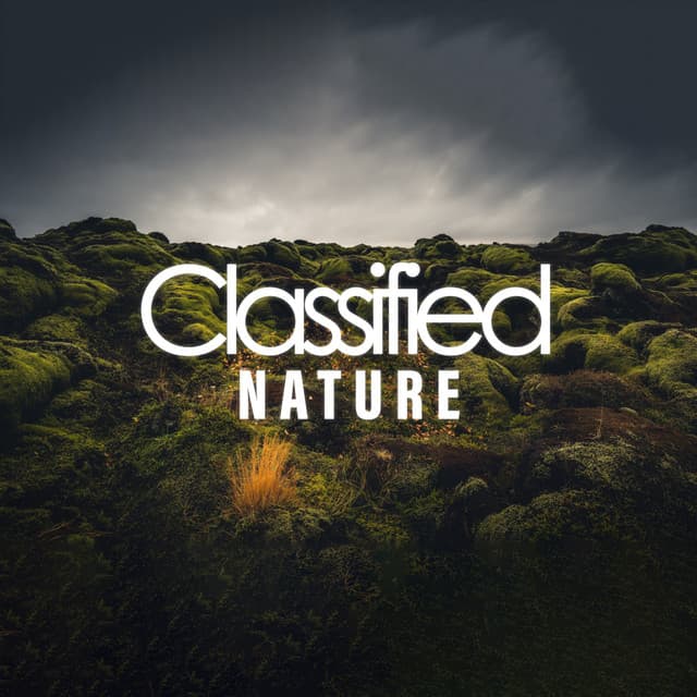 Classified Nature - ASMR Rain Sounds