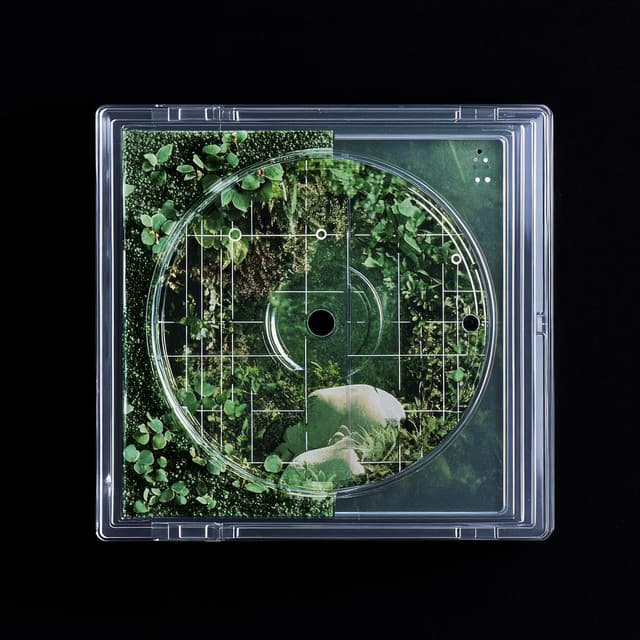 Gleeful Gardens - Meditation Guru