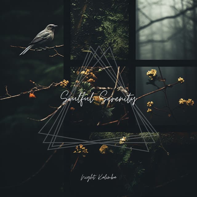 Soulful Serenity: Music to Relax the Mind - Night Kalimba