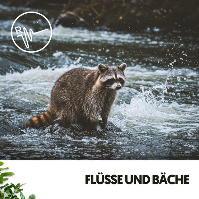 Flüsse und Bäche: Melodien des fließenden Wassers - Dog Relaxation