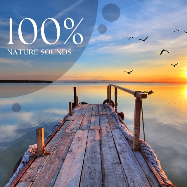 100% Nature Sounds: 1 Hours of Relaxing Natural Ambiences for Meditation, Awakening and Yoga - Nature Zone