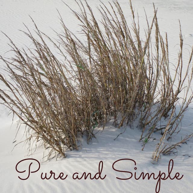 Pure and Simple - Koh Lantana