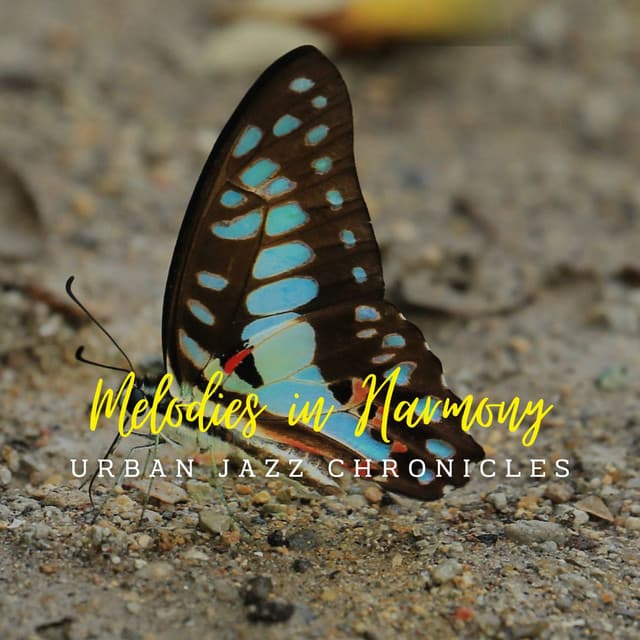 Jazz Café Reverie: Lounge Melodies in Harmony - Chill Jazz Playlist