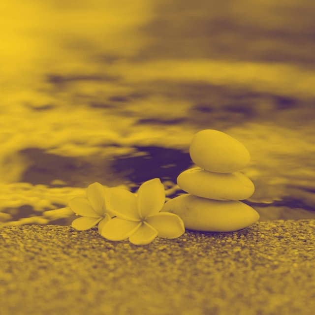 Bossa Guitars - Background Music for Respectful Feelings - Instrumental Chill Jazz