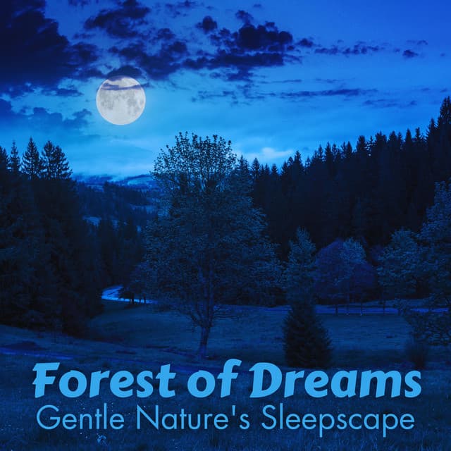 Forest of Dreams: Gentle Nature's Sleepscape - Sounds Of Nature