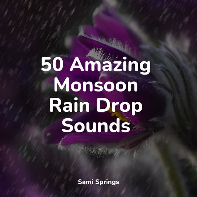 50 Amazing Monsoon Rain Drop Sounds - Sounds Of Nature: Thunderstorm