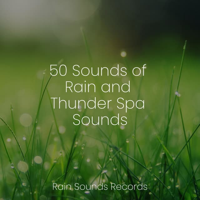 50 Sounds of Rain and Thunder Spa Sounds - Anxiety Relief