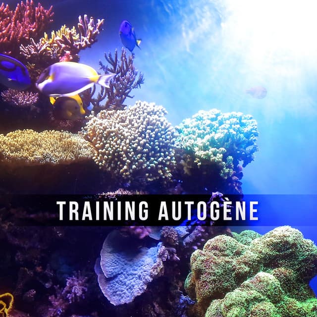 Training autogène – Sophrologie, Réflexologie & Méditation avec sons de la nature et musique zen, Bien-être avec New Age - Musique de Réflexion Academy