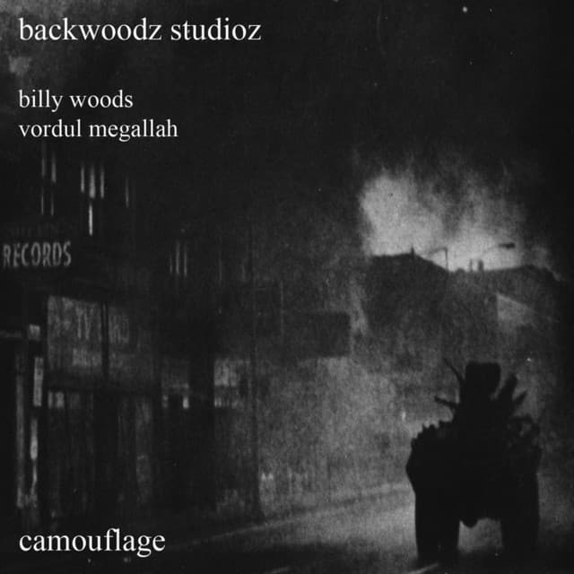 Camouflage - billy woods