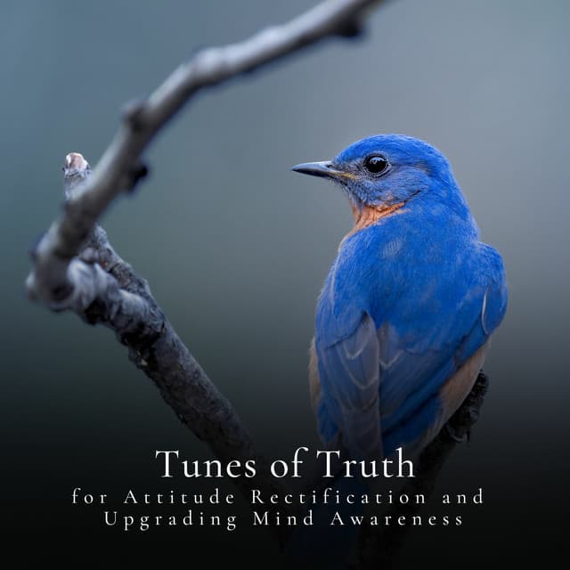 * Tunes of Truth for Attitude Rectification and Upgrading Mind Awareness * - Calm Singing Birds Zone