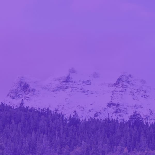 Backdrop for Storytelling - Musica per la Colazione Sala