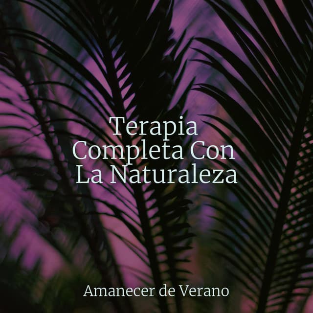Terapia Completa Con La Naturaleza - Sonidos De Truenos y Lluvia