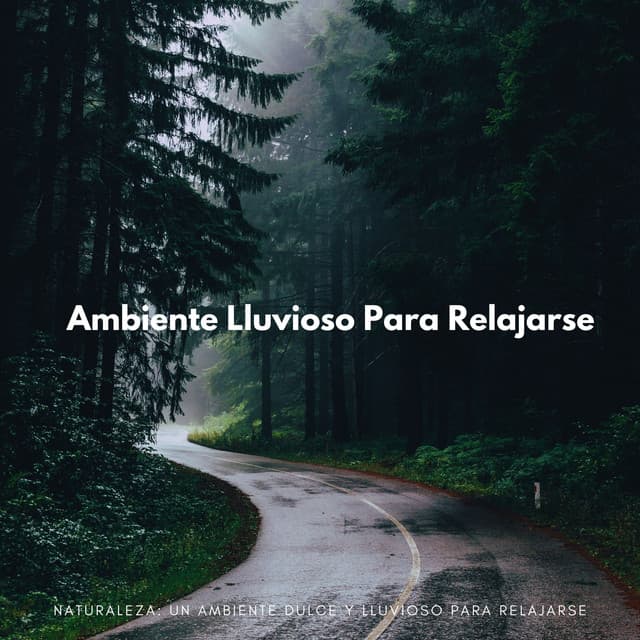 Naturaleza: Un Ambiente Dulce Y Lluvioso Para Relajarse - Música de día lluvioso