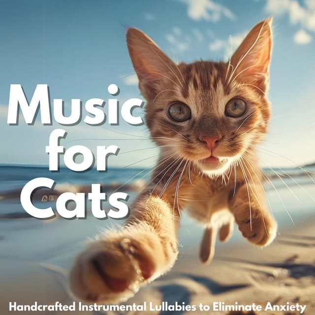 Music for Cats - Handcrafted Instrumental Lullabies to Eliminate Anxiety - RelaxMyCat