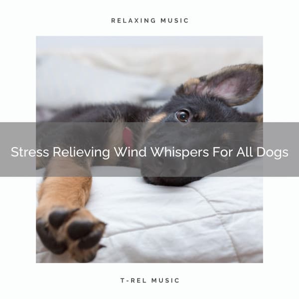 Stress Relieving Wind Whispers For All Dogs - Dog Relax