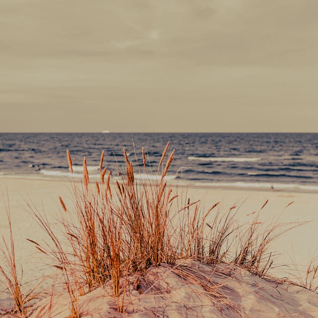 10PM Water Journeys: Currents of the Quiet Mind - Sea Waves Sounds