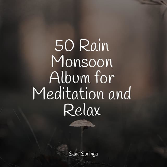 50 Rain Monsoon Album for Meditation and Relax - Meditação Maestro